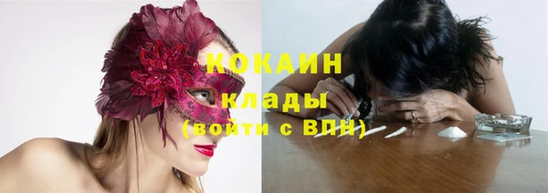 ECSTASY Белокуриха