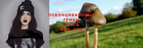 ECSTASY Белокуриха