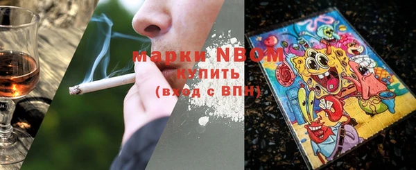 ECSTASY Белокуриха