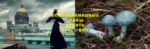 амф Беломорск