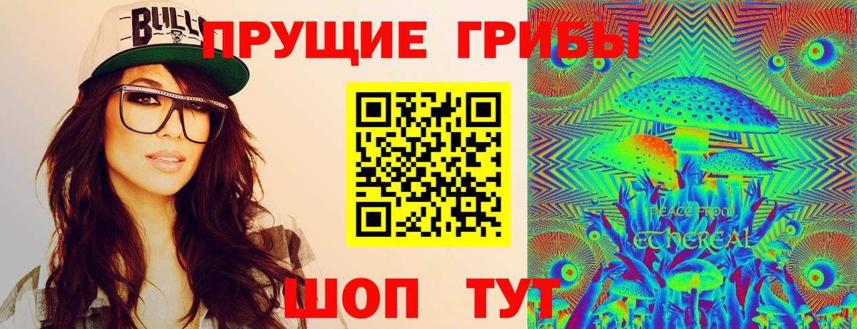 НБОМе Верхняя Пышма